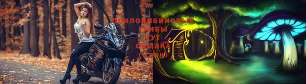 крисы Алзамай