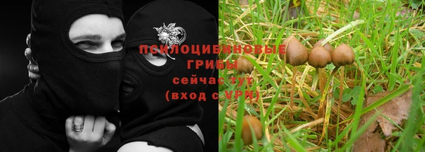 ALPHA PVP Алексин