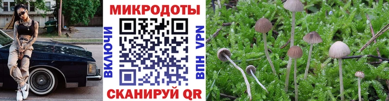 дарнет шоп  Лениногорск  hydra как зайти  Галлюциногенные грибы Psilocybe 