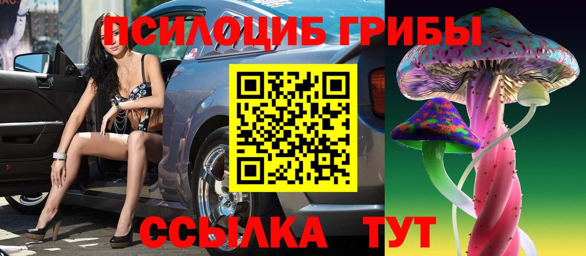 Псилоцибиновые грибы Cubensis Лениногорск