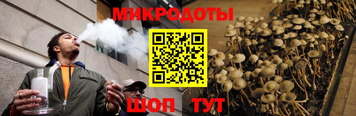 Галлюциногенные грибы мицелий  Псилоцибиновые грибы Psilocybe  Вход с VPN  Лениногорск 